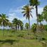  Land for sale in Sulop, Davao, Sulop