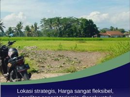  Land for sale in Sumbersari, Jember, Sumbersari