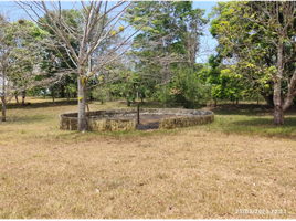 2 Schlafzimmer Villa zu verkaufen in Capira, Panama Oeste, Capira, Capira