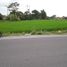  Land for sale in Yogyakarta, Kalasan, Sleman, Yogyakarta