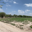 Terrain à vendre à Mexquitic De Carmona, San Luis Potosi, Mexquitic De Carmona