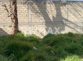 Grundstück zu verkaufen in Toluca, Mexico, Toluca