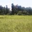  Land for sale in Tampak Siring, Gianyar, Tampak Siring