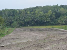  Land for sale in Yogyakarta, Pengasih, Kulon Progo, Yogyakarta