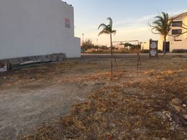  Grundstück zu verkaufen in El Marques, Queretaro, El Marques