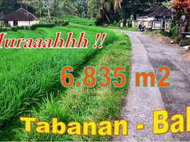  Tanah for sale in Selemadeg, Tabanan, Selemadeg