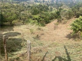  Grundstück zu verkaufen in Guarne, Antioquia, Guarne, Antioquia, Kolumbien