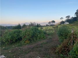  Grundstück zu verkaufen in Valle De Bravo, Mexico, Valle De Bravo, Mexico