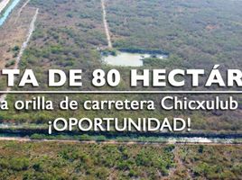  Terreno (Parcela) en venta en Chicxulub Pueblo, Yucatán, Chicxulub Pueblo