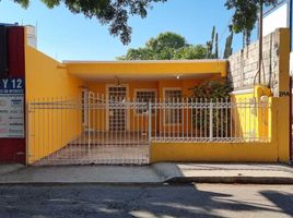 在墨西哥出租的 屋, Merida, Yucatan, 墨西哥