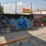  Land for rent in San Luis Potosi, San Luis Potosi, San Luis Potosi, San Luis Potosi