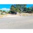 Studio Villa for sale in Las Lomas, David, Las Lomas