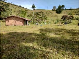  Grundstück zu verkaufen in Girardota, Antioquia, Girardota