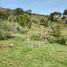  Grundstück zu verkaufen in Girardota, Antioquia, Girardota