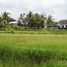  Tanah for sale in Tampak Siring, Gianyar, Tampak Siring