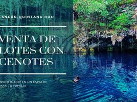  Terreno (Parcela) en venta en Isla Mujeres, Quintana Roo, Isla Mujeres