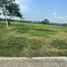  Terreno (Parcela) en venta en Centro, Tabasco, Centro, Tabasco