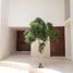 3 Schlafzimmer Villa zu verkaufen in Merida, Yucatan, Merida