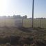  Land for sale in Canuelas, Buenos Aires, Canuelas