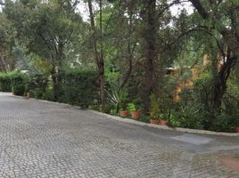  Terreno (Parcela) en venta en Tlalpan, Ciudad de México, Tlalpan