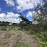  Land for sale in Guarne, Antioquia, Guarne