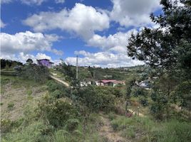  Terreno (Parcela) en venta en Guarne, Antioquia, Guarne