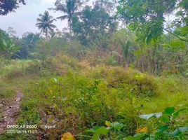  Land for sale in Magelang, Jawa Tengah, Tempuran, Magelang