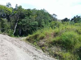  Terreno (Parcela) en venta en San Juan de Dios, Antón, San Juan de Dios