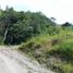 Land for sale in San Juan De Dios, Cocle, San Juan De Dios