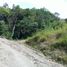  Land for sale in Cocle, San Juan De Dios, Anton, Cocle