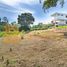  Land for sale in Floridablanca, Santander, Floridablanca