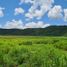  Land for sale in Tekax, Yucatan, Tekax