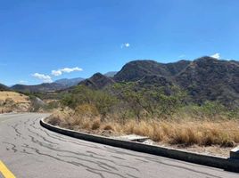  Land for sale in Loja, Malacatos Valladolid, Loja, Loja