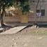 5 Bedroom House for sale in Garzon, Huila, Garzon