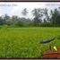  Land for sale in Tampak Siring, Gianyar, Tampak Siring