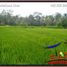  Land for sale in Tampak Siring, Gianyar, Tampak Siring