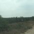  Land for sale in Apodaca, Nuevo Leon, Apodaca