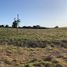  Land for sale in Chile, Puerto Varas, Llanquihue, Los Lagos, Chile