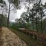  Terreno (Parcela) en venta en Mazamitla, Jalisco, Mazamitla