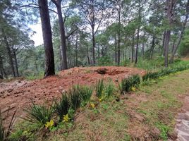  Terreno (Parcela) en venta en Mazamitla, Jalisco, Mazamitla