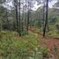  Terreno (Parcela) en venta en Mazamitla, Jalisco, Mazamitla