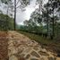  Terreno (Parcela) en venta en Mazamitla, Jalisco, Mazamitla