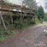  Land for sale in Cautin Araucania, Villarrica, Cautin, Araucania, Chile
