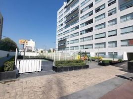 Condominium 3 chambre à vendre à Alvaro Obregon, Mexico City, Alvaro Obregon