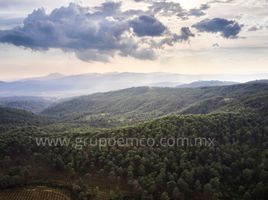  Terreno (Parcela) en venta en Mazamitla, Jalisco, Mazamitla