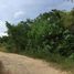 Terreno (Parcela) en venta en Dauis, Central Visayas, Dauis