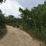  Terreno (Parcela) en venta en Dauis, Central Visayas, Dauis