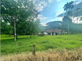 8 Bedroom House for sale in Salento, Quindio, Salento