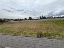  Land for sale in Quito, Pichincha, Tumbaco, Quito