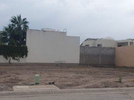  Terreno (Parcela) en venta en Torreon, Coahuila, Torreon